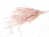 Keřík pastelový - pudrově růžový - 35 cm 
