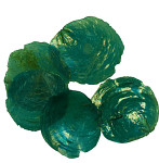 Mušle capiz perleť zeleno-modré - 45 g 
